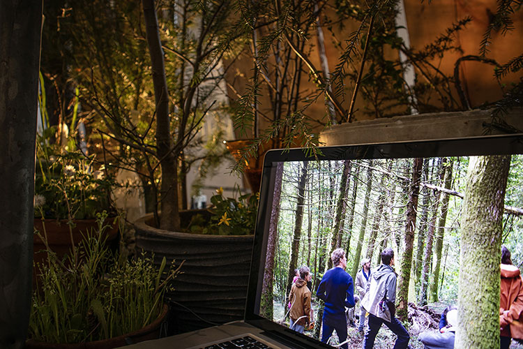 elise_benard_vanite_echafaudage5_web